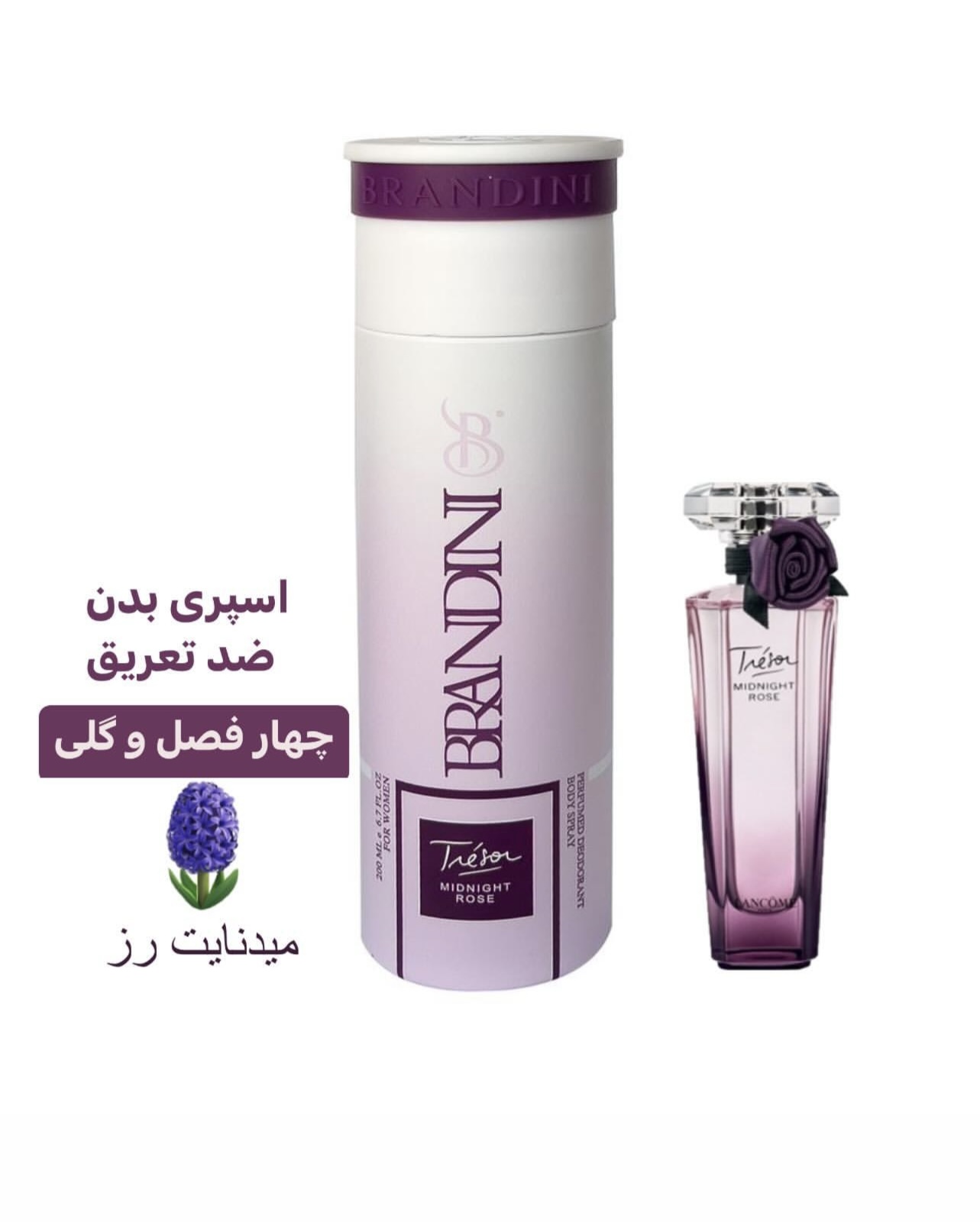 اسپری بدن میدنایت رز