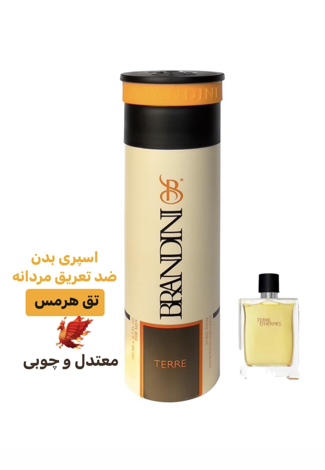 اسپری بدن تق هرمس مردانه